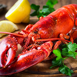 lobster-dinner