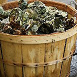 We cater Oyster Roasts