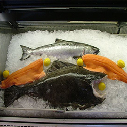 Fresh Seafood Daily