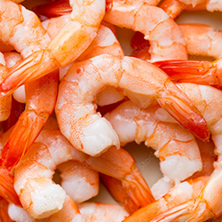 We are your fresh shrimp connection!